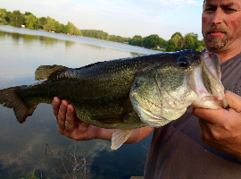 Earl Frederick - Bass at Dam